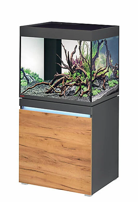 Eheim - Aquarium Incpiria 230L Avec Meuble - Graphit Nature 3 Eheim - Aquarium Incpiria 230L Avec Meuble - Graphit Nature
