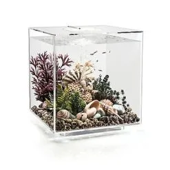 BiOrb - Aquarium Cube 30 Mcr Transparent