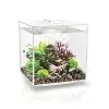 BiOrb - Aquarium Cube 30 Mcr Blanc 1 BiOrb - Aquarium Cube 30 Mcr Blanc -EHEIM Verkoopwinkel 41647