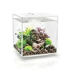 BiOrb - Aquarium Cube 30 Mcr Blanc