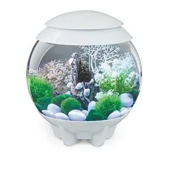 BiOrb - Aquarium Halo 15 Mcr Blanc