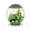 BiOrb - Aquarium Halo 60 Mcr Gris -EHEIM Verkoopwinkel 41668