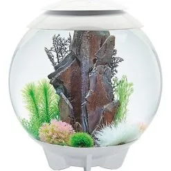 BiOrb - Aquarium Halo 60 Mcr Blanc