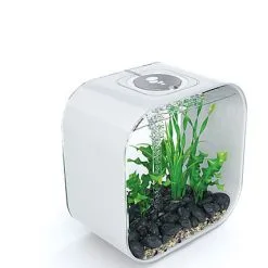 BiOrb - Aquarium Life 30 Mcr Blanc