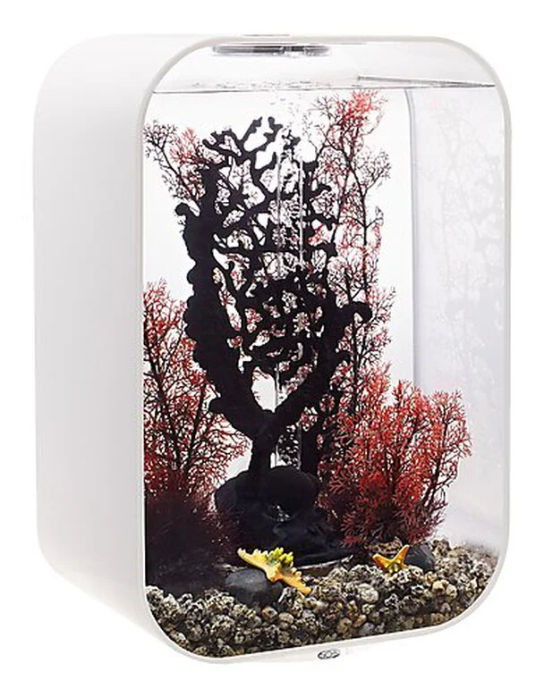 BiOrb - Aquarium Life 45 Mcr Blanc 3 BiOrb - Aquarium Life 45 Mcr Blanc