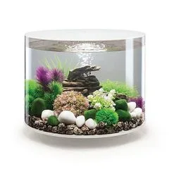 BiOrb - Aquarium Tube 35 Mcr Blanc