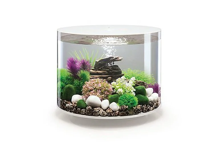 BiOrb - Aquarium Tube 35 Mcr Blanc 3 BiOrb - Aquarium Tube 35 Mcr Blanc