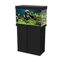 Ciano - Aquarium Emotions Nature Pro 80 - Noir -EHEIM Verkoopwinkel 42414