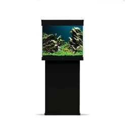 Ciano - Aquarium Emotions Nature Pro 60 - Noir -EHEIM Verkoopwinkel 42446