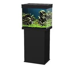 Ciano - Aquarium Emotions Nature Pro 60 - Noir -EHEIM Verkoopwinkel 42450