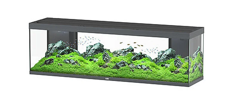Aquatlantis -Aquarium SPLENDID 200 Led 2.0 Equipé Anthracite - 500L 3 Aquatlantis -Aquarium SPLENDID 200 Led 2.0 Equipé Anthracite - 500L