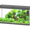 Aquatlantis - Aquarium SPLENDID 120 Led 2.0 Equipé Anthracite - 240L 1 Aquatlantis - Aquarium SPLENDID 120 Led 2.0 Equipé Anthracite - 240L -EHEIM Verkoopwinkel 72867