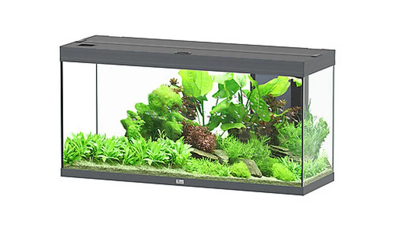 Aquatlantis - Aquarium SPLENDID 120 Led 2.0 Equipé Anthracite - 240L 3 Aquatlantis - Aquarium SPLENDID 120 Led 2.0 Equipé Anthracite - 240L