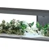 Aquatlantis - Aquarium SPLENDID 150 Led 2.0 Equipé Anthracite - 298L 2 Aquatlantis - Aquarium SPLENDID 150 Led 2.0 Equipé Anthracite - 298L -EHEIM Verkoopwinkel 72868