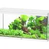Aquatlantis - Aquarium SPLENDID 120 Led 2.0 Equipé Blanc - 240L -EHEIM Verkoopwinkel 72882