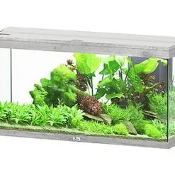 Aquatlantis - Aquarium SPLENDID Led 2.0 Equipé Chêne Blanc - 240L