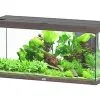 Aquatlantis - Aquarium SPLENDID Led 2.0 Equipé Chêne Brun - 240L -EHEIM Verkoopwinkel 72920