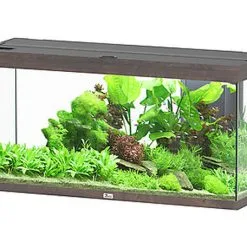 Aquatlantis - Aquarium SPLENDID Led 2.0 Equipé Chêne Brun - 240L