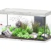 Aquatlantis - Aquarium SUBLIME 120 Led Gris Béton - 333L 2 Aquatlantis - Aquarium SUBLIME 120 Led Gris Béton - 333L -EHEIM Verkoopwinkel 72925
