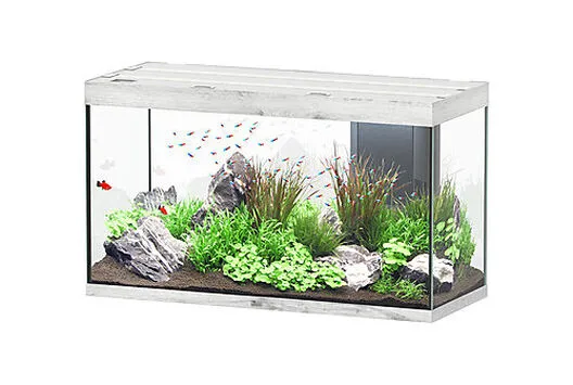 Aquatlantis - Aquarium SUBLIME 120 Led Chêne Blanc - 333L 3 Aquatlantis - Aquarium SUBLIME 120 Led Chêne Blanc - 333L