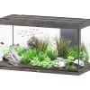 Aquatlantis - Aquarium SUBLIME 120 Led Chêne Brun - 333L -EHEIM Verkoopwinkel 72928