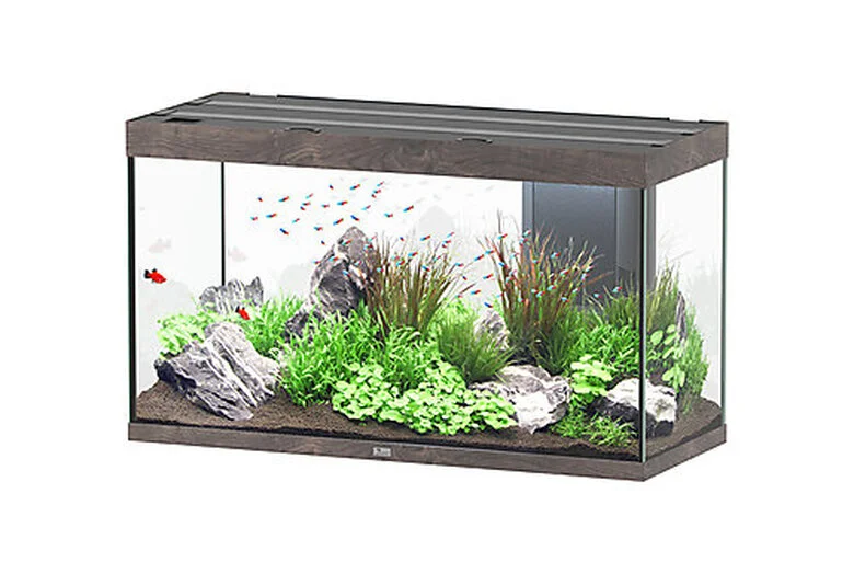 Aquatlantis - Aquarium SUBLIME 120 Led Chêne Brun - 333L 3 Aquatlantis - Aquarium SUBLIME 120 Led Chêne Brun - 333L