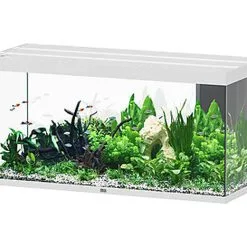 Aquatlantis - Aquarium SUBLIME 150 Led Blanc - 545L