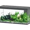 Aquatlantis - Aquarium SUBLIME 150 Led Anthracite - 545L 1 Aquatlantis - Aquarium SUBLIME 150 Led Anthracite - 545L -EHEIM Verkoopwinkel 72930
