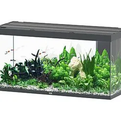 Aquatlantis - Aquarium SUBLIME 150 Led Anthracite - 545L