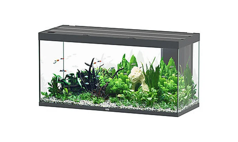 Aquatlantis - Aquarium SUBLIME 150 Led Anthracite - 545L 3 Aquatlantis - Aquarium SUBLIME 150 Led Anthracite - 545L