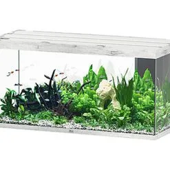 Aquatlantis - Aquarium SUBLIME 150 Led Chêne Blanc - 545L
