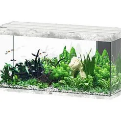 Aquatlantis - Aquarium SUBLIME 150 Led Gris Béton - 545L