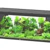 Aquatlantis - Aquarium SUBLIME 200 Led Noir - 853L -EHEIM Verkoopwinkel 72934