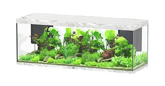 Aquatlantis - Aquarium SUBLIME 200 Led Gris Béton - 853L 3 Aquatlantis - Aquarium SUBLIME 200 Led Gris Béton - 853L