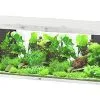 Aquatlantis - Aquarium SUBLIME 200 Led Chêne Blanc - 853L -EHEIM Verkoopwinkel 72939