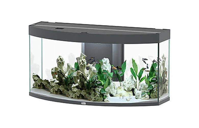 Aquatlantis - Aquarium SUBLIME HORIZON 120 Led Anthracite - 249L 3 Aquatlantis - Aquarium SUBLIME HORIZON 120 Led Anthracite - 249L