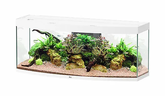Aquatlantis - Aquarium SUBLIME HORIZON 150 Led Blanc - 363L 3 Aquatlantis - Aquarium SUBLIME HORIZON 150 Led Blanc - 363L