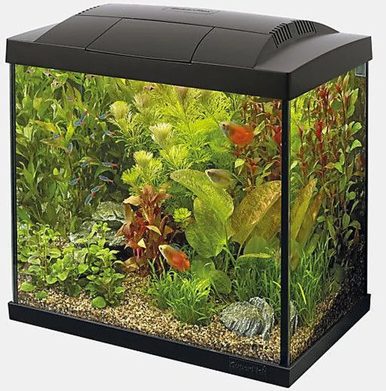 Superfish - Kit Aquarium Start 30 Tropical Noir - 27L 4 Superfish - Kit Aquarium Start 30 Tropical Noir - 27L - Afbeelding 2