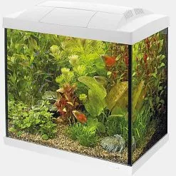 Superfish - Kit Aquarium Start 30 Tropical Blanc - 27L -EHEIM Verkoopwinkel 72996
