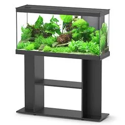 Aquadisio - Aquarium Alto 100cm - Noir