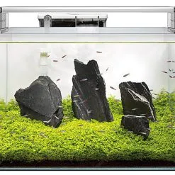 Superfish - Aquarium SCAPER 90 En Verre Crystal Clear - 90L