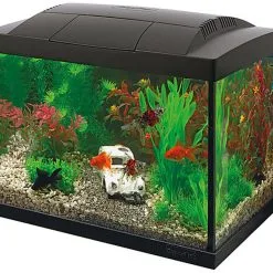 Superfish - Kit Aquarium START 20 Noir - 16L -EHEIM Verkoopwinkel 74836