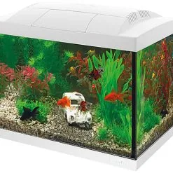 Superfish - Kit Aquarium START 20 Blanc - 16L -EHEIM Verkoopwinkel 74840