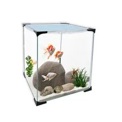 Antinea - Nano Aquarium Cuve Nue Cube + Couvercle - 31,5L