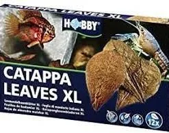 Hobby Feuilles De Catappa Xl 12 Pièces