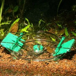 JBL - Piège à Escargots LimCollect II Sans Produits Chimiques -EHEIM Verkoopwinkel 9756