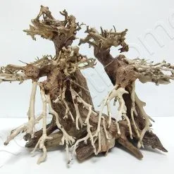 AQUAVIE BONSAI DOUBLE NATUR PM