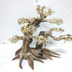 AQUAVIE BONSAI NATUR L-XL