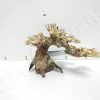 AQUAVIE BONSAI NATUR PM -EHEIM Verkoopwinkel aquavie bonsai natur pm