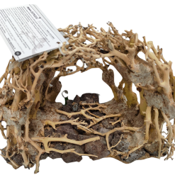 AQUAVIE BONSAI NATUR R MM NOP